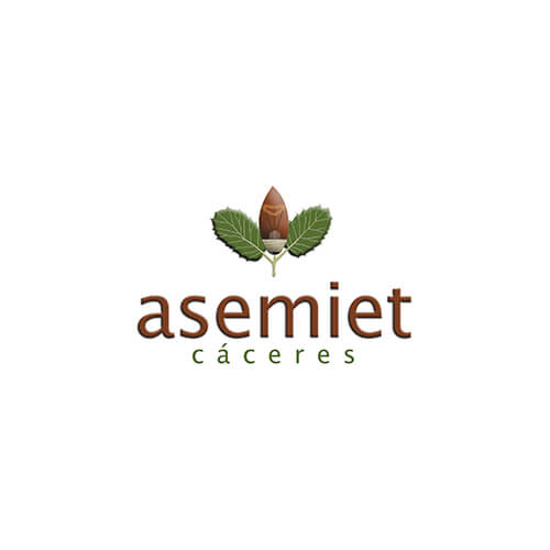 ASEMIET - Asociación Empresarial de Instaladores Electricistas y de Telecomunicaciones de Cáceres
