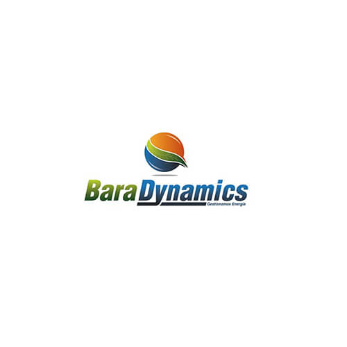 Bara Dynamics